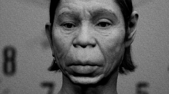 Peter is back (צילום: אמיר יציב)