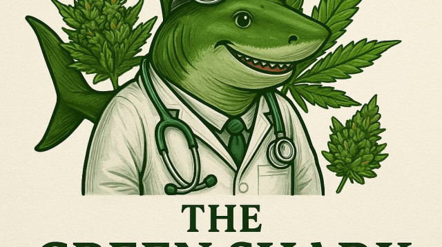  "הכריש הירוק" (צילום: דוברות המשטרה)