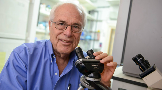 פרופ' אשחר. זיקה לתאי דם לבנים מסוג T (צילום: מכון ויצמן)