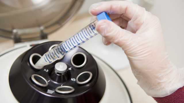 מעבדת פוריות (צילום: שאטרסטוק)