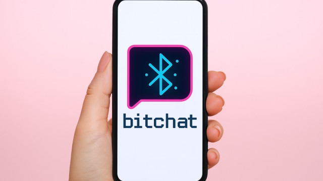 ביטצ'אט. ווצאפ עדיין לא בפאניקה (צילום: מעריב אונליין)