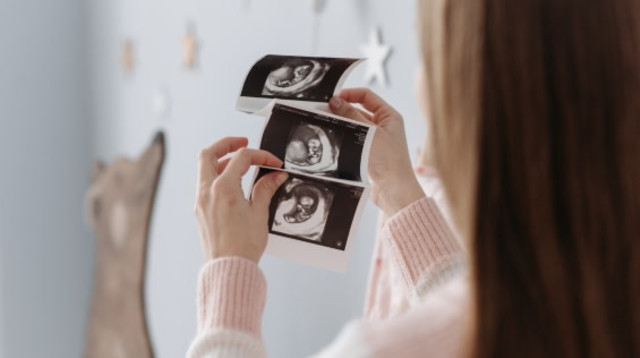 מלווה אותך בכל שבוע: אפליקציית פורטי תהפוך את ההריון לחוויה (צילום: Canva)
