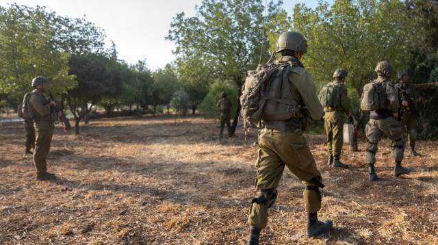תרגיל אוגדתי של אוגדה 210 במרחב רמת הגולן (צילום: דובר צהל)