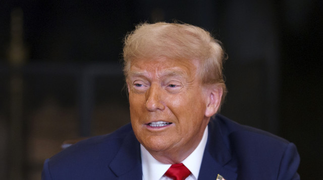 דונלד טראמפ (צילום: EPA/WILL OLIVER POOL)