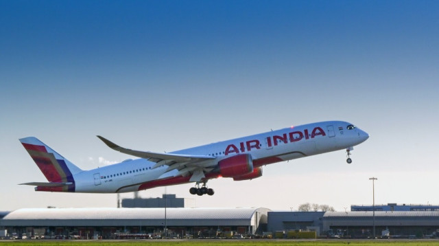 אייר אינדיה. הטייס סבל מדיכאון לאחר מות אמו (צילום: שאטרסטוק)