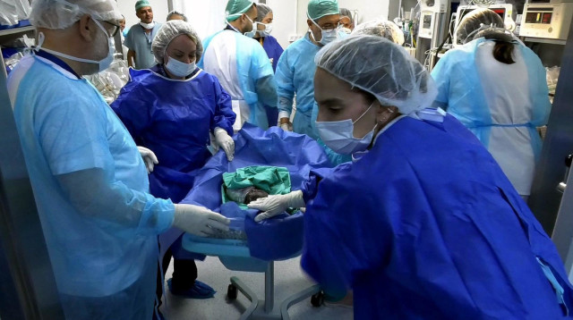 צוות רפואי וסיעודי נרחב. מרתון שלישיות  (צילום: דוברות בית החולים זיו בצפת)