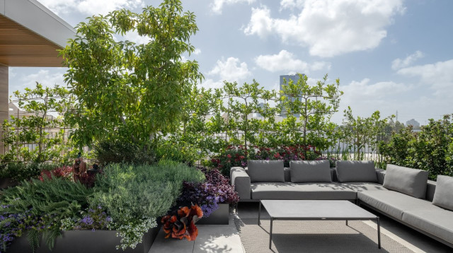 אדריכלות ועיצוב פנים טלי ארינוס, תכנון חוץ כרכום עיצוב נוף  (צילום: תמיר רוגובסקי)