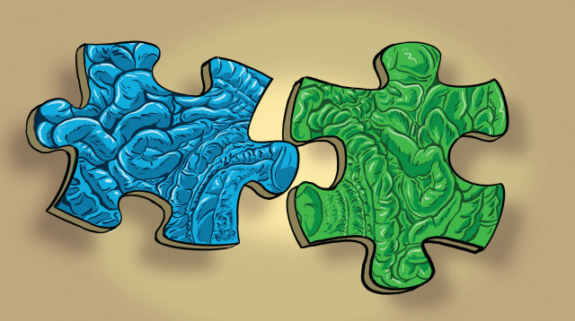 אחיות אבודות, מרסל מוסרי (צילום: איור: אורי פינק)