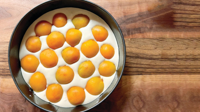 עוגת משמש (צילום: פסקל פרץ-רובין)