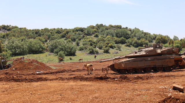 סקר צומח הר דב (בקעת אגס) (צילום: שי אייזקס, רשות הטבע והגנים )