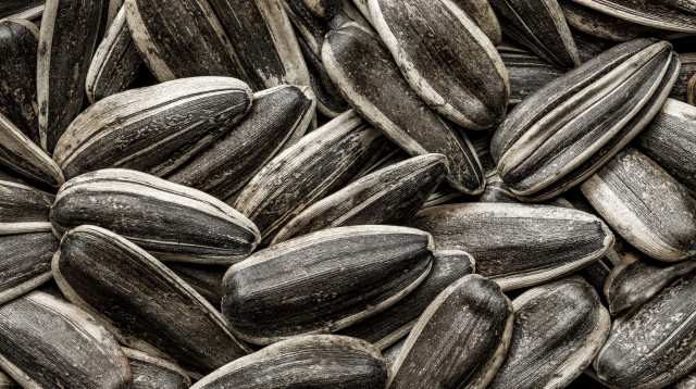 גרעיני חמנייה, גרעינים שחורים (צילום: שאטרסטוק)
