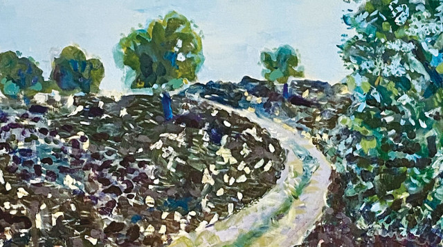 מאיר עוזיאל (צילום: מאיר עוזיאל)