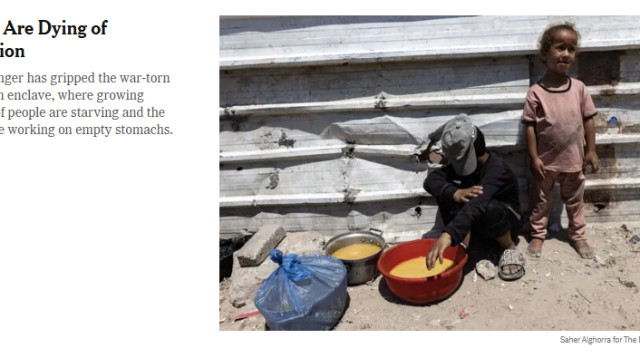 הכתבה הראשית בניו יורק טיימס על הרעב בעזה (צילום: צילום מסך ניו יורק טיימס)