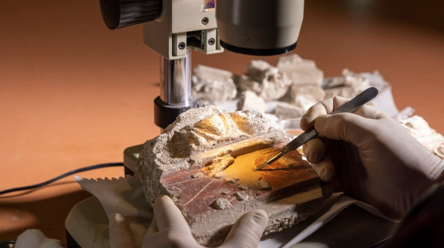 המציאות הארכאולוגיות שנמצאו בסוסיתא (צילום: מיכאל איזנברג)