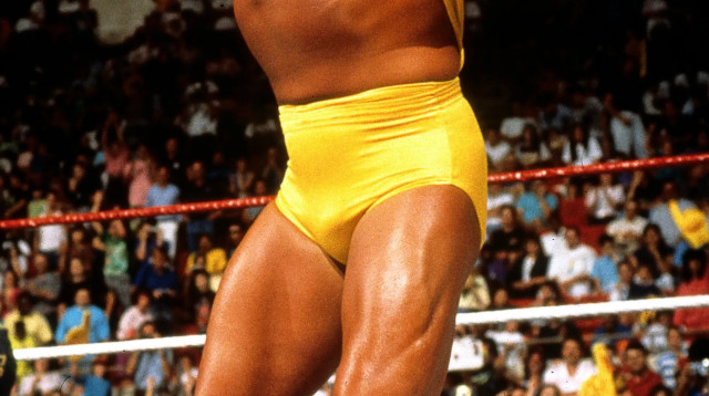 האלק הוגאן בזירה במהלך רויאל ראמבל של ה-WWE במיאמי ארנה ב-19 בינואר 199 (צילום: GettyImages, WWE)