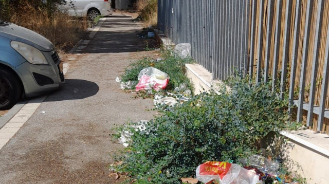 חיפה  (צילום: מיכי אלפר)