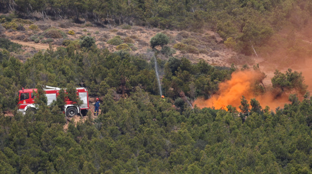 שריפות ביוון (צילום: רויטרס)