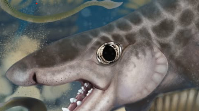 אילוסטרציה של הכריש (צילום: צילום מסך מתוך דף הפייסבוק של Mammoth Cave National Park)