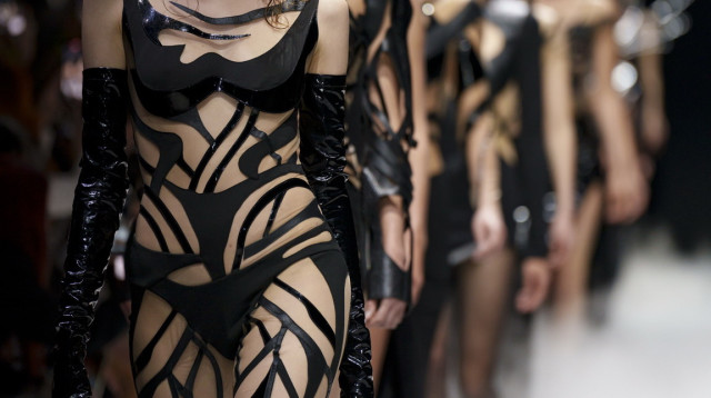 תצוגה של אלון ליבנה (צילום: haydon perrior)