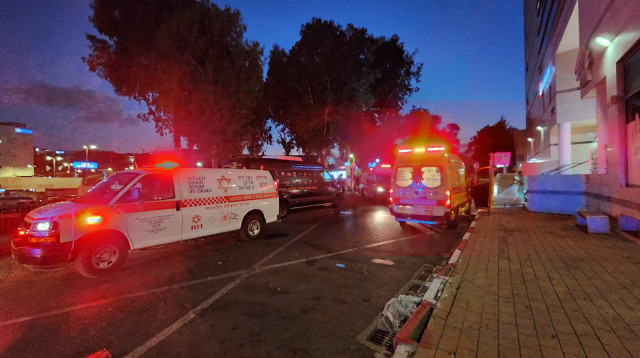 זירת נפילת העץ בבי"ח אסף הרופא (צילום: תיעוד מבצעי מד"א)