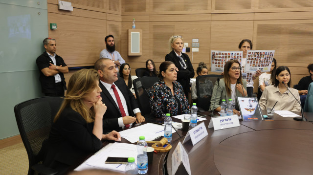 ח"כ אפרת רייטן בדיון בוועדת הכנסת (צילום: מרק ישראל סלם)