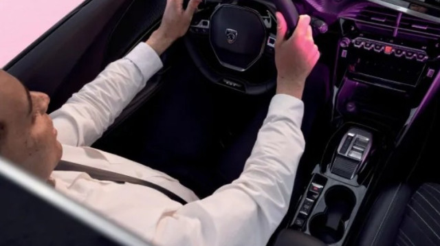 פיגו 2008 (צילום: פיג'ו)