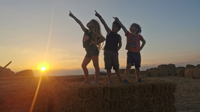 חוות הדקלים (צילום: באדיבות המקום)