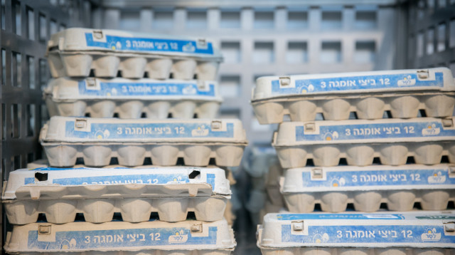 קרטוני ביצים (צילום: מרים אלסטר, פלאש 90)