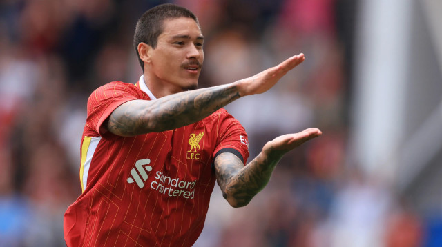 דרווין נונייס, ליברפול (צילום: GettyImages)