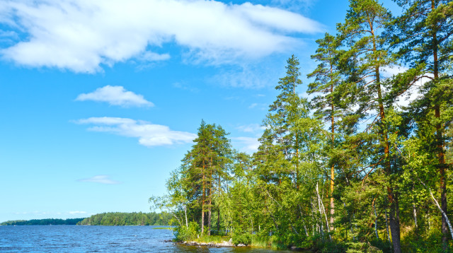 פינלנד (צילום: אינגאימג)