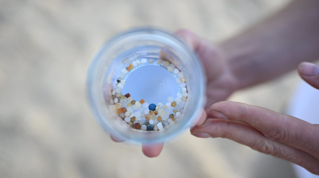 חלקיקי פלסטיק אשר נמצאו במפרץ חיפה (צילום: גרינפיס)