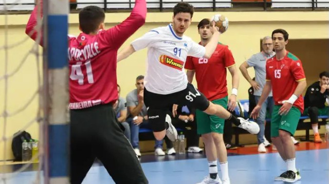  (צילום: אתר רשמי, סורין פנה, איגוד הכדוריד)