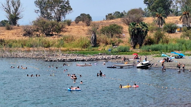 נופשים בחוף מפרץ אמנון בכינרת (צילום: אושרי בן דור, איגוד ערים כינרת)