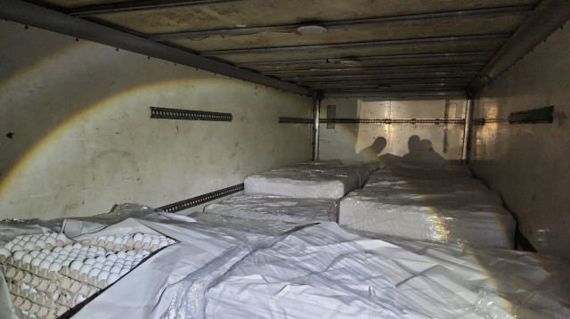 הביצים המוברחות שנתפסו (צילום: המועצה לענף הלול)