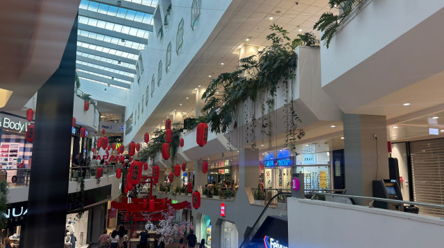 דיזנגוף סנטר, בניחוח יפני (צילום: מאיה כהן)