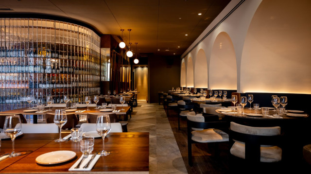 DAVID 16 (צילום: אסף קרלה)