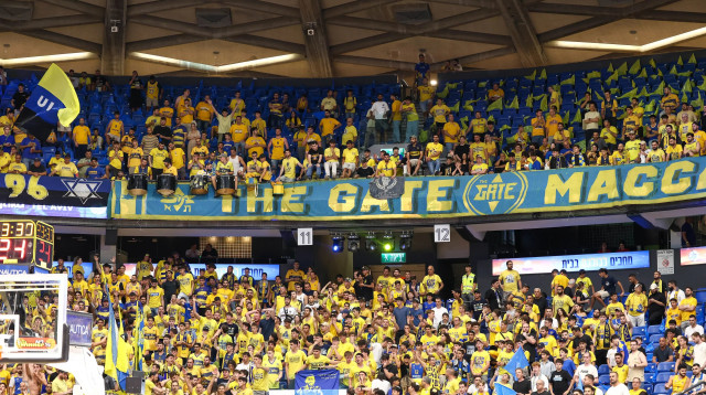 אוהדי מכבי תל אביב (צילום: דני מרון)