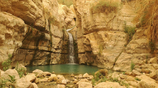 נחל ערוגות המשוקם (צילום: שי רוזנצוויג, רשות הטבע והגנים)