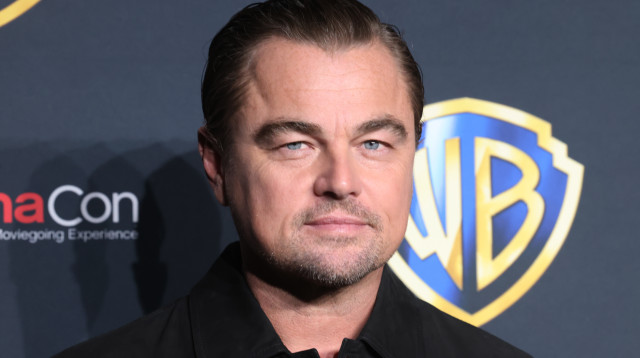 ליאונרדו דיקפריו (צילום:  Gabe Ginsberg/Getty Images)