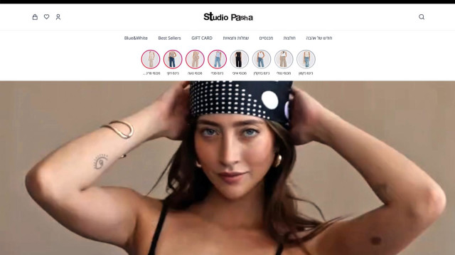 סטודיו פשה - אתר חדש (צילום: יח"צ)