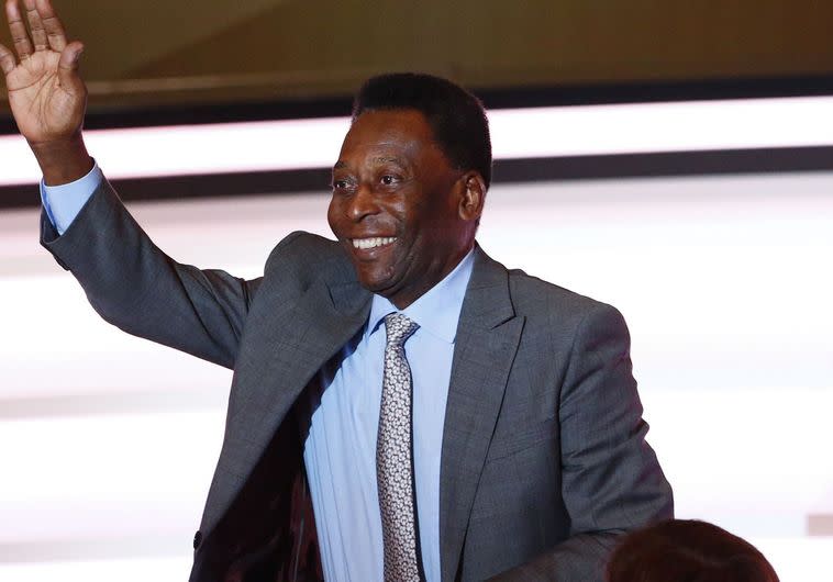 פלה. צלם : יעקב זיו 