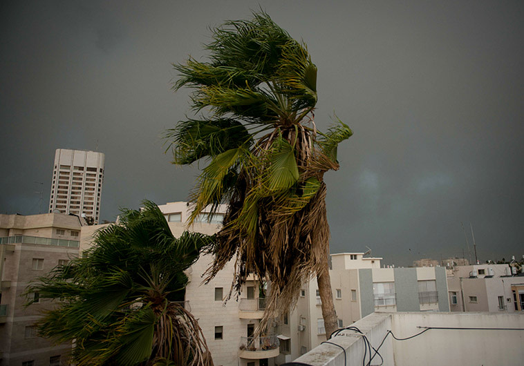 סוער, ארכיון. צילום: בן קלמר