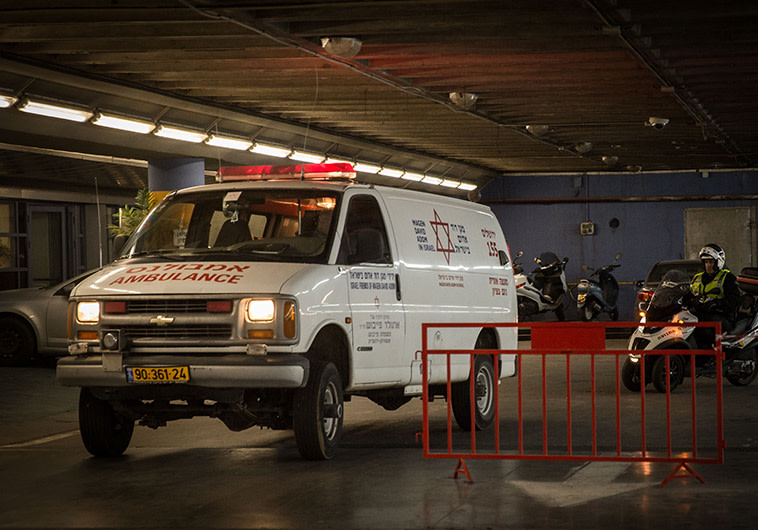 צילום ארכיון: הדס פרוש, פלאש 90