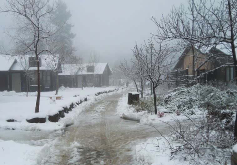 שלג במרום גולן. צילום: שפי מור