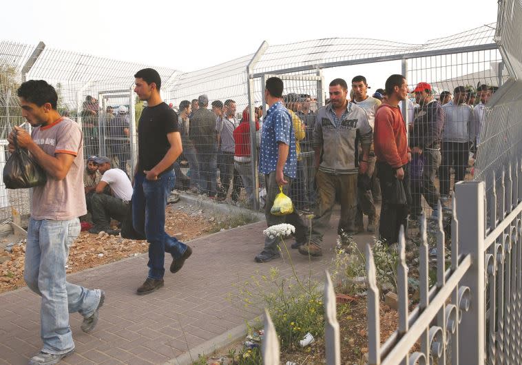 פועלים פלסטינים בדרכם למחסום. צילום: נתי שוחט, פלאש 90