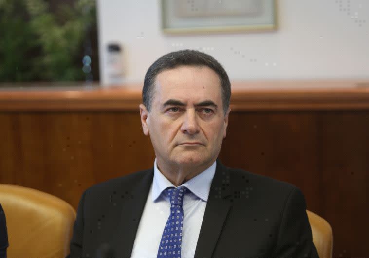 ישפר את מעמדה של ישראל בעולם. ישראל כ"ץ. צילום: אלכס קולומויסקי, פלאש 90