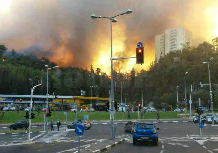 נאבקים בלהבות בחיפה. צילום: אבשלום ששוני