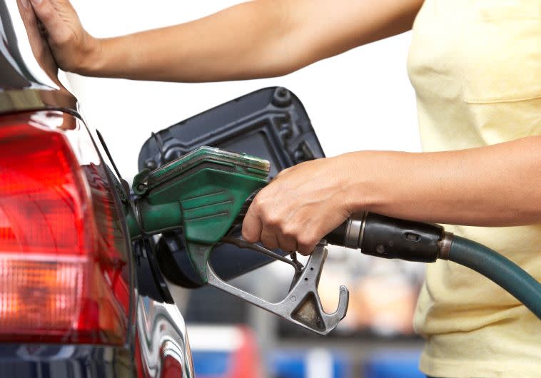 עדיף דלקן. צילום: אינג אימג'