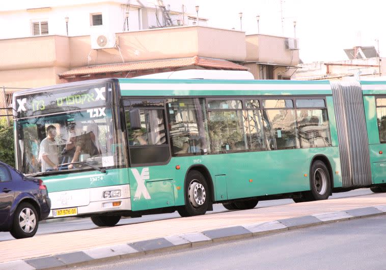 אוטבוס אגד, אילוסטרציה. צילום: אלוני מור