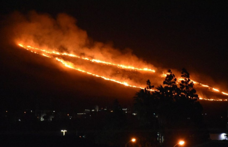 שריפה באזור כרמיאל. צילום: כיבוי אווירי